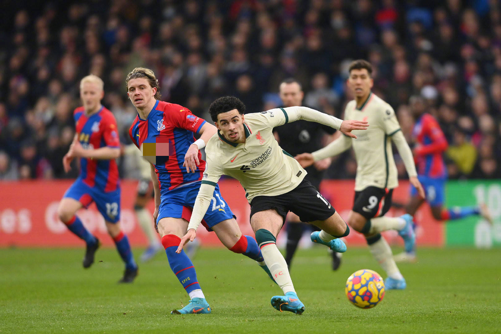 博格达诺维 博格达诺维